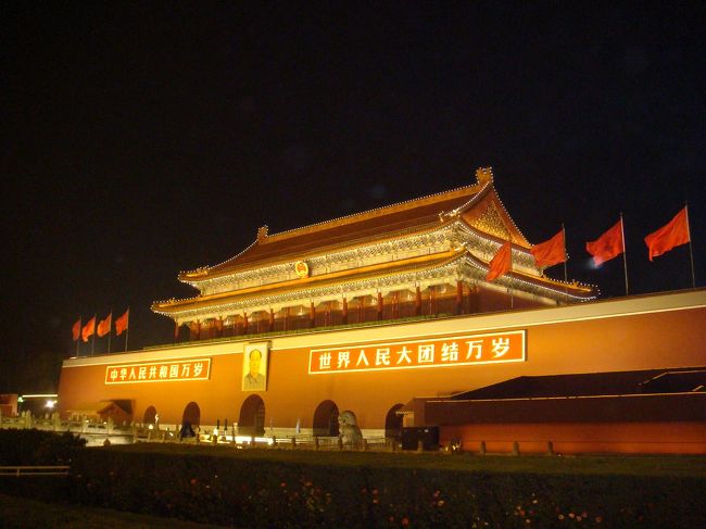 ライトアップ見に行って正解！