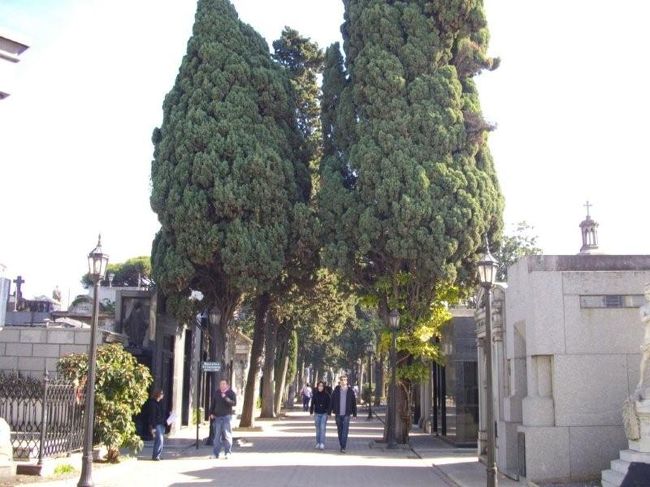 行ってみましょう。