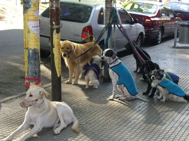 待ってるの･･･