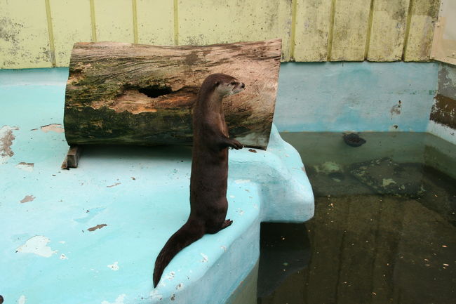 幼稚園児の集団は行っちまったようだなぁ