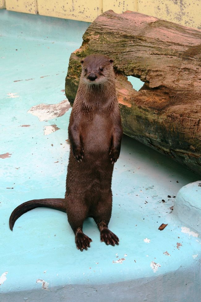 むむ...<br />このオバサン、さっきからしつこい感じ