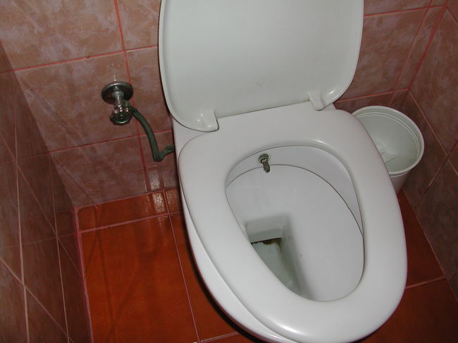 ちょっと失礼して・・・<br />イスタンブールは宗教上(?)昔からウォシュレット文化。ホースの水でお知りを洗うらしい。<br />なるほど・・・ウォシュレットにも歴史があるのね・・・