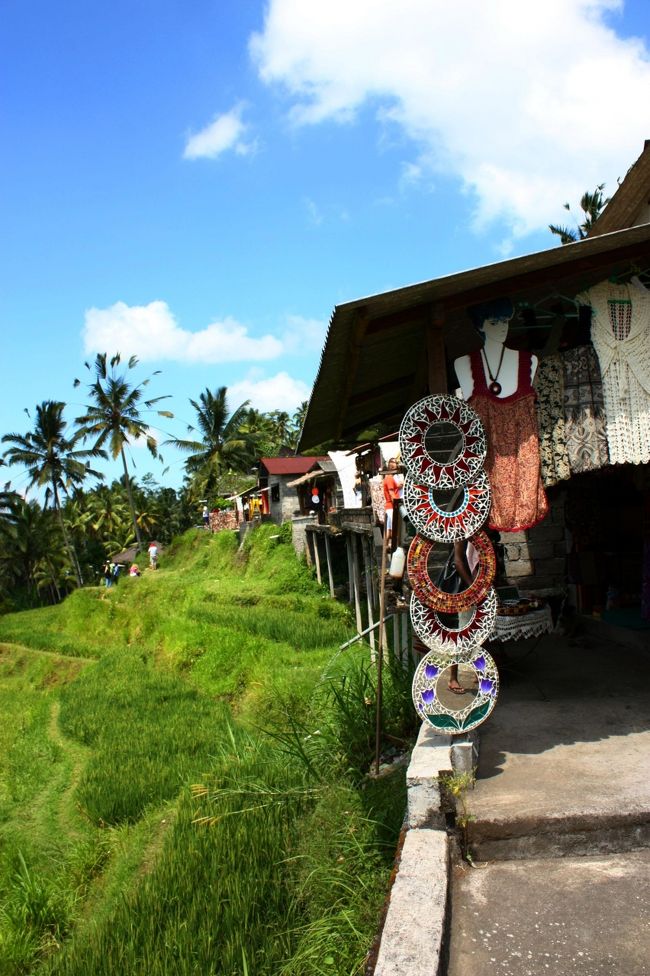 ウブドの街なかを抜けて北へ、近郊のテガラランと呼ばれる場所を目指す。<br />テガラランは“神の階段”と呼ばれる棚田が美しいことで有名で、場所によってはCafeでゆっくりお茶をしながら景色を楽しむことも可能♪<br />今回は、ドライバーにオーダーしていないので立ち寄るのみだった。<br />ライステラス周辺の道は意外と細く駐車場も無いので、狭い道路の路肩にあるわずかのスペースに車を止めるため、チャーター車の路駐が延々と並んでいた。<br />交通量も多いので気をつけながら道路を横断すると…