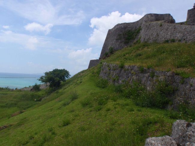 ラピュタに出てきそう
