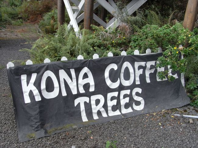 途中、コーヒーベルトを通ったので、<br />ロイヤルコナコーヒーに立ち寄りました。<br />そこで、100% Kona Peaberry 340g入りを2袋ゲット。