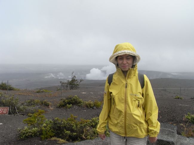 ハワイ・ボルケーノ国立公園に到着。<br />ジャガー博物館前から見るキラウェアのカルデラです。