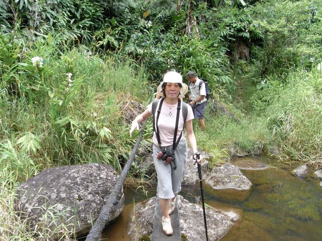 トレッキング自体は全然楽チンです。