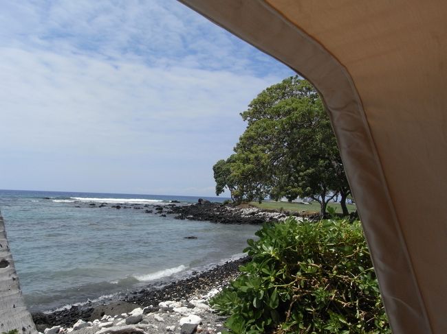 私のお昼寝チェアからの景色。