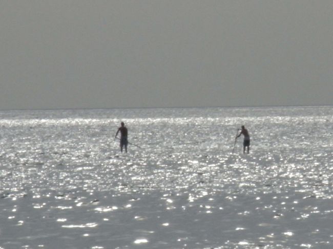 途中、立った状態でカヌーをしている人発見。