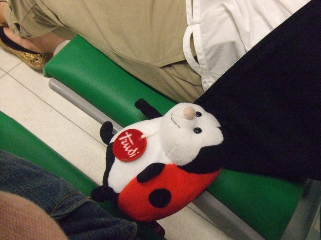 なかなか搭乗開始にならないね〜。テンちゃん。