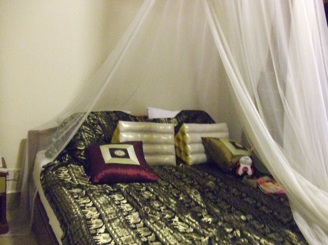 お腹もいっぱいで宿に帰ってきました。<br />食堂でミネラルウォーター12本を10ドルで買って帰ってきました。友達の値切りの成果です☆<br />何気にもう23時前。<br />1日移動で疲れた私はシャワー浴びて直ぐに寝ちゃいました。<br />でも興奮してたのか、たびたび目が覚めて浅い眠りになっちゃった。