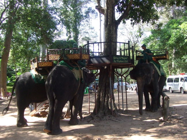 南大門の手前で車を降りて麦わら帽子を購入。１〜２＄くらいだよ、と相場を教えてもらったので２＄で購入しました。<br />その近くには象さん乗り場が。象さんに乗っての遺跡めぐりも出来るようです。
