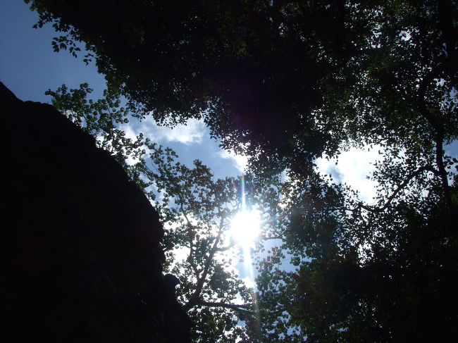 んん！タ･プロームは見所満載っすね〜♪♪♪<br />結構時間かけてたっぷり観光☆<br />木陰がたくさんで涼しいのもありがたい！！！