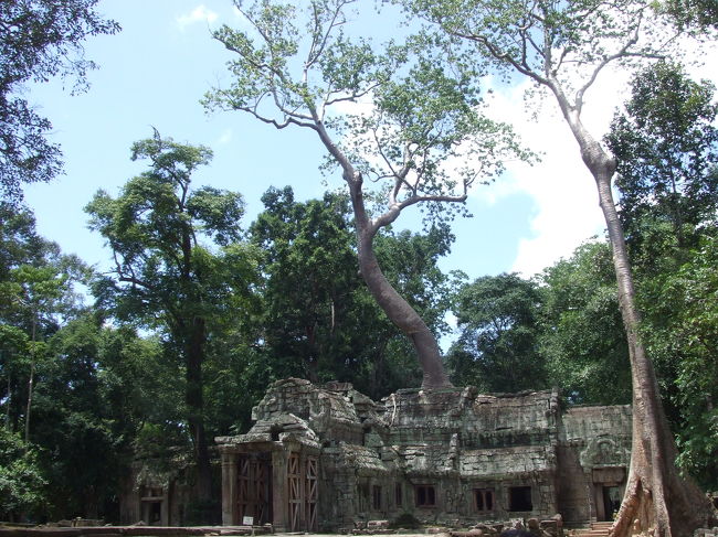 裏っかわへ出ました。ココだけ見ると、あんなすごい遺跡とは思わないよな〜（だよね？）
