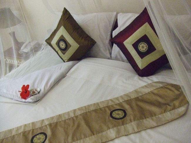 さてさて、アンタヌーに戻ってきました。<br />シャワー浴びて着替えて少し休憩したら、また午後の観光ツアーの始まりっす！<br />ベッドには花とクッキーがおいてありました♪