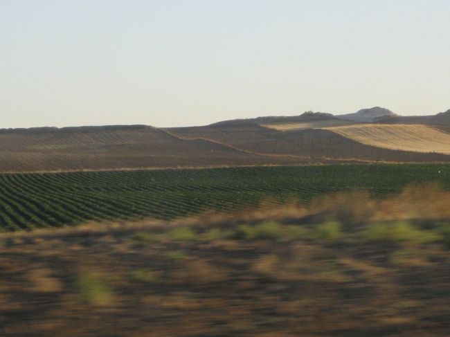 すっかり明るくなってきました。