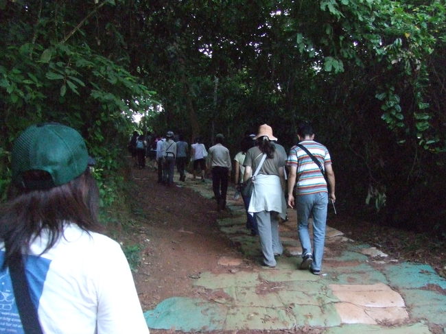 がんばって歩くぞー！！！