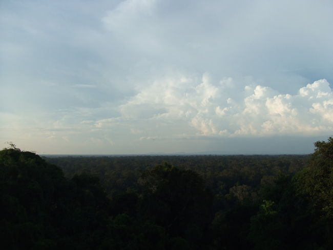 遺跡の上に到着！<br />なかなかサイコーな眺めっす！！！<br />シェムリアップは、アンコールワットより高い建物が無いそうなんですね。<br />だから地平線がキレイに見えます♪