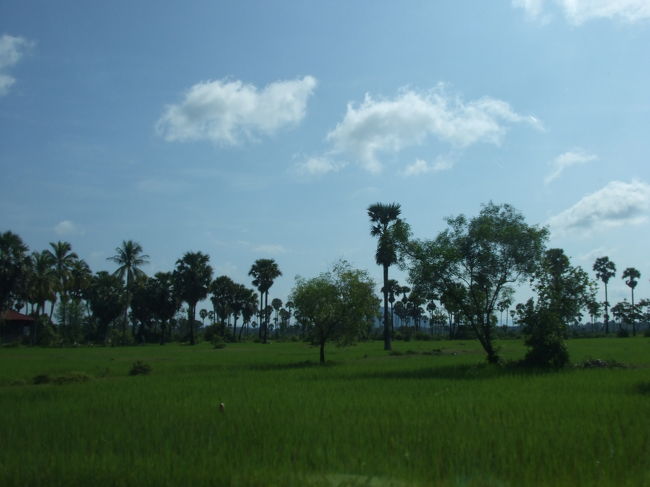 どんどん田舎へ。のどかですね〜♪