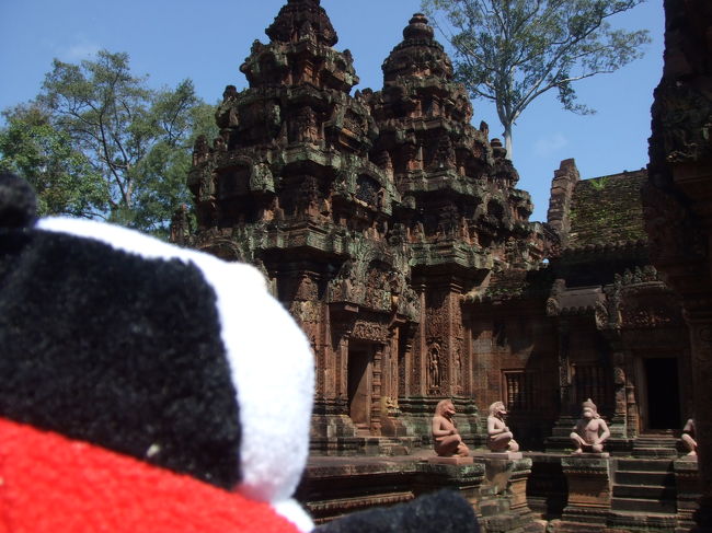 ちゃんとたまに出てきますよ、テンちゃん♪<br />ここも二度目だね！