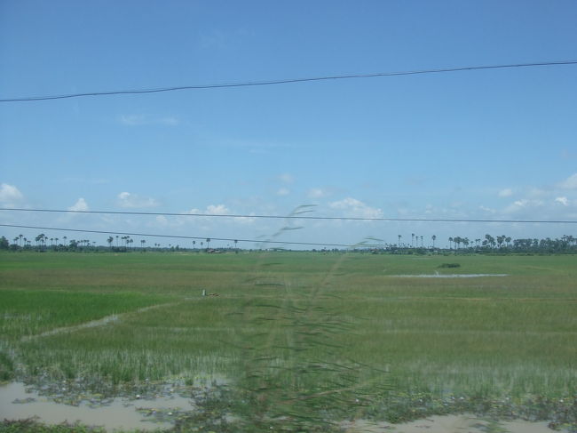 どんどん周りが自然いっぱいになっていきます。<br />地平線だ〜。