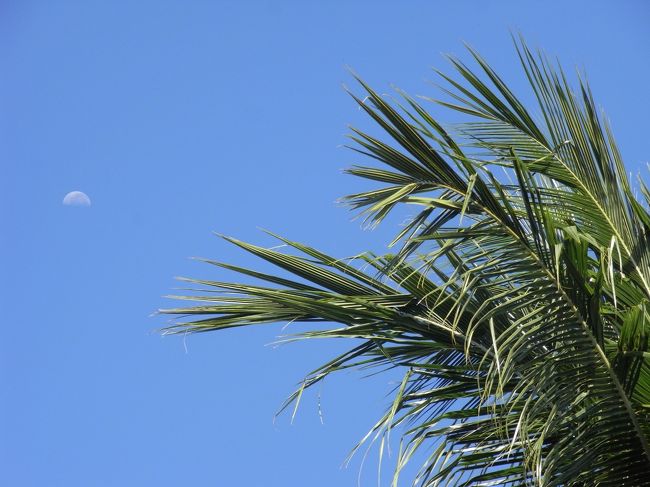 最終日。<br />朝食時に、お月様が見えました。
