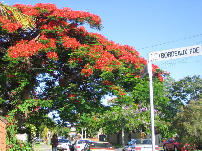 裏通り。<br />色鮮やかです。