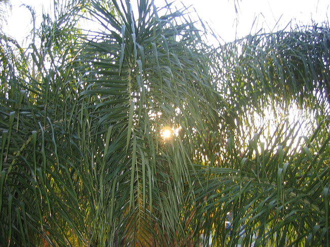 ホテルの部屋からの一枚