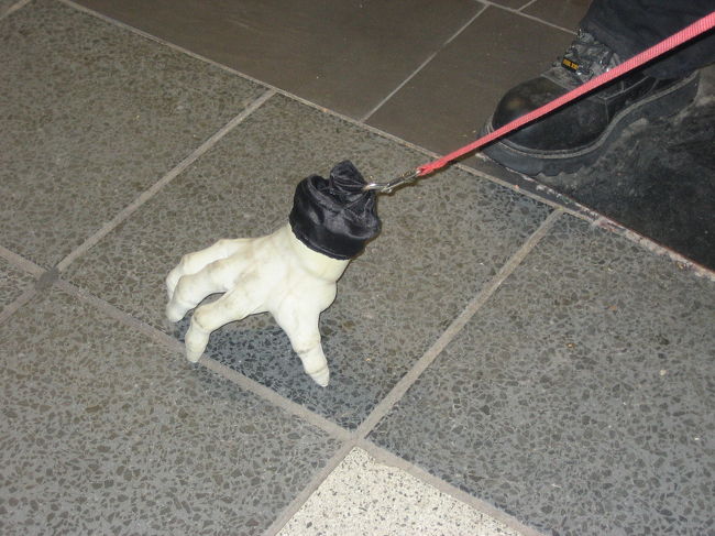 モンスターのペット<br />音に反応して手がカサカサと動きます。