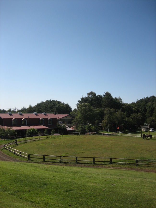 のどかな風景が広がります。