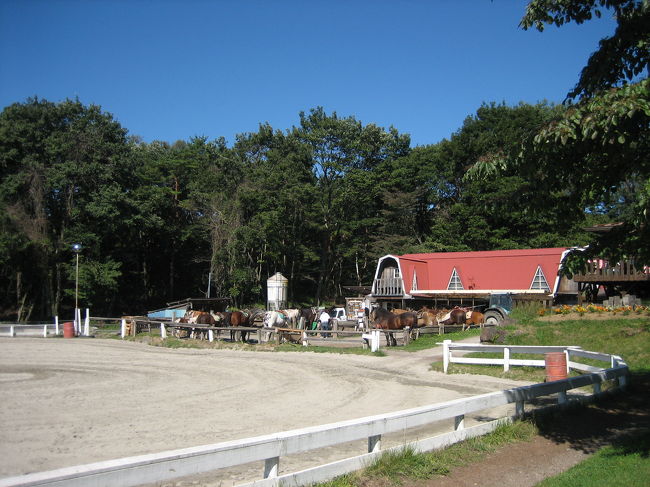 9:00すぎだからか、まだ観光客もいません！