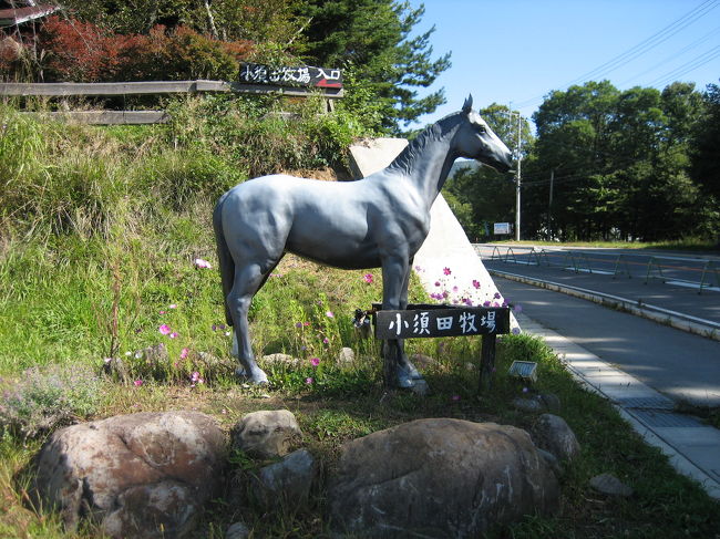 なんとなく入ってみた小須田牧場でしたが（すみません！）、とってもよかったです！