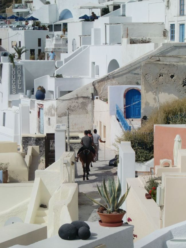 チリンチリンというまだ聞きなれない鈴の音<br />のほうを見てみると…<br />ホテルのすぐ下の通りをロバが歩いていました。