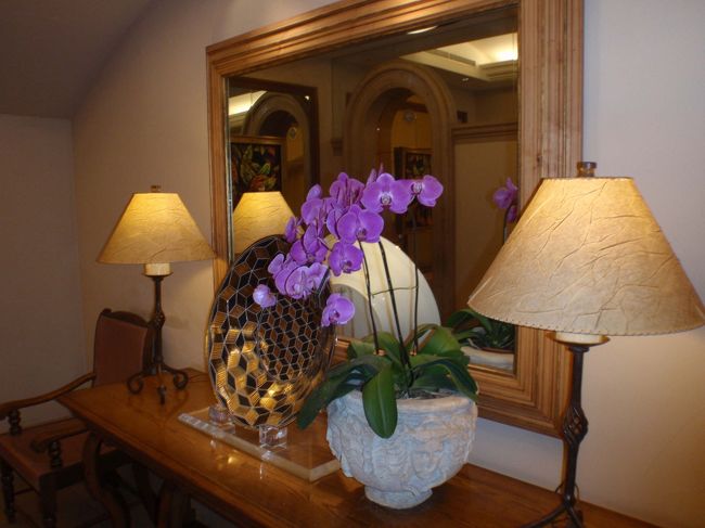 フラッシュたくとピンクの花が紫になっちゃいました！