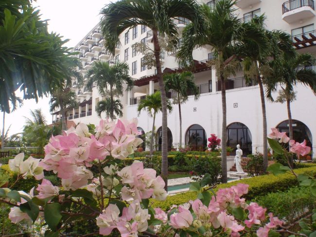 中庭も花が咲き乱れてきれい☆