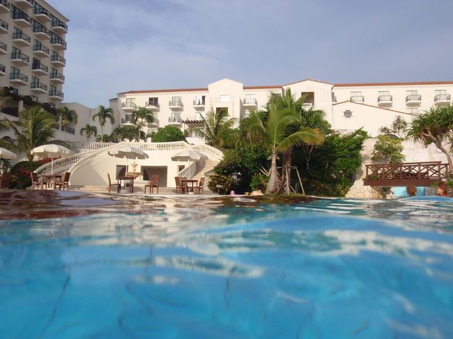 同じくセンターウイング全景