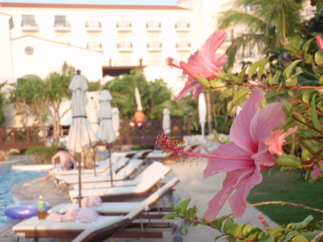 プールサイドとハイビスカス