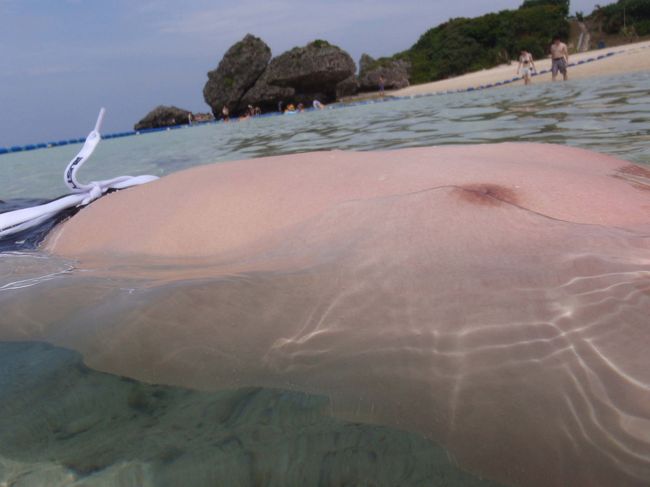 幻の島発見!!<br /><br /><br />朝食食べすぎでぽっこりと膨らんだお腹でした･･･