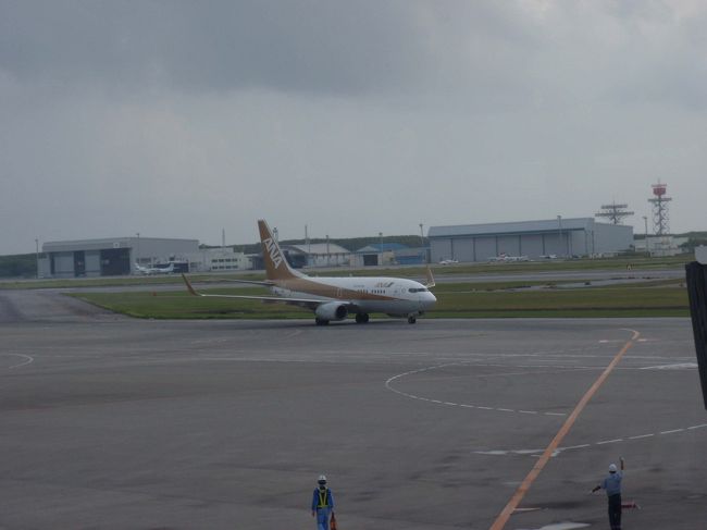 これを見たらラッキー!?<br /><br /><br />ゴールドのANA機を目撃しました☆