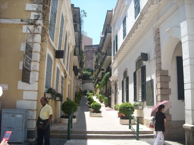 なんかこの道ステキ☆