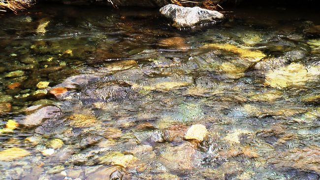 氷河の水を集めた川、ミネラル豊富な水を皆で味わう