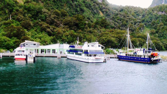 ミルフォードサンドのクルーズに出る