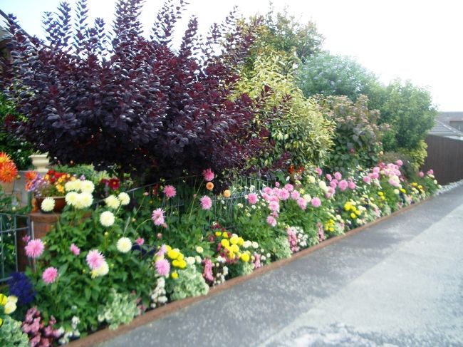 クライストチャーチでは各家がガーデニングを楽しんでいる