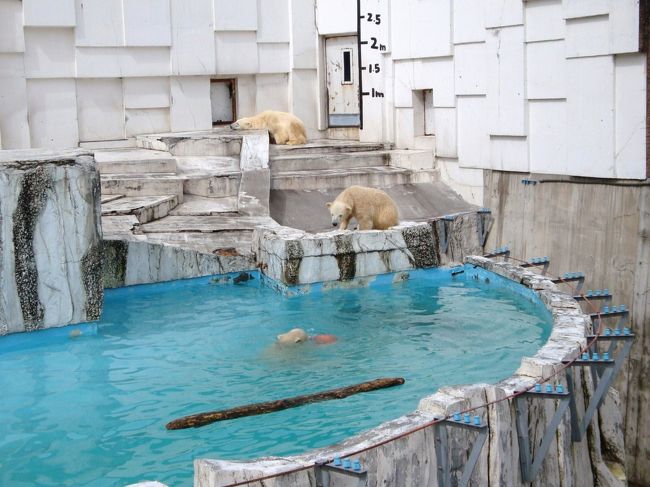 双子の白クマと銀河庭園 北海道 2 琴似 発寒中央 北海道 の旅行記 ブログ By Waterlilyさん フォートラベル 双子の白クマと銀河庭園 北海道 2 琴似 発寒中央 北海道 の旅行記 ブログ By Waterlilyさん フォートラベル