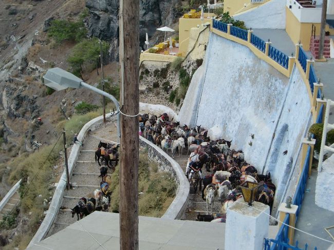 ロバが坂道を上がってきてます。