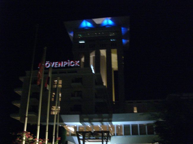 ライトアップされたホテルをパチリ。<br /><br />最上階にあるバーは、ステキすぎて、私の「作業着」ではとても入れない雰囲気でした・・・<br /><br />早くバーにいけるような女性になりたいと思いつつ就寝・・・<br /><br />明日はついに、アブシンベル神殿です！！