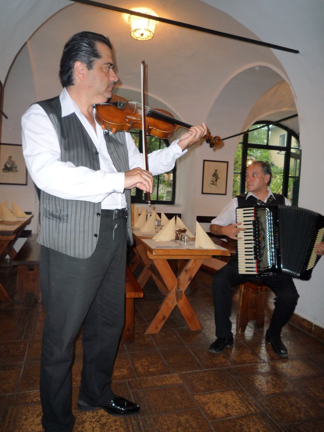 いきなり生演奏☆<br /><br />いろんなリクエストに答えてくださって、<br />「美しき青きドナウ」や「エーデルワイス」など<br />オーストリアを代表する名曲を演奏してくださいました☆