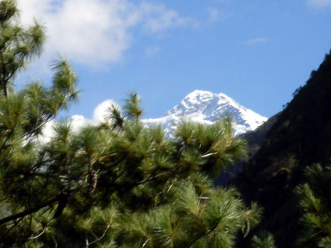 初めてエベレストが見えた！