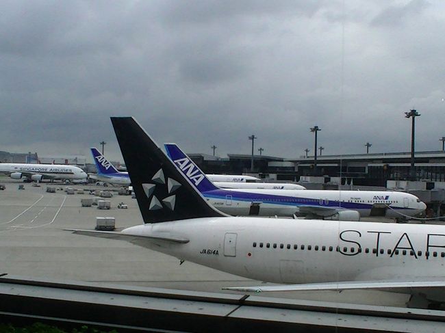 成田からそのまま国際線乗り継ぎができたのだけど、海外用の携帯を予約してたのと、成田空港をゆっくり見たかったので、一旦到着ロビーに出てみました。<br /><br />が、時間がすぐになくなり急ぎ足で搭乗口へ。