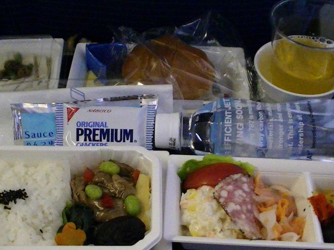 うーん機内食はまあまあかな。いつも完食できない。。